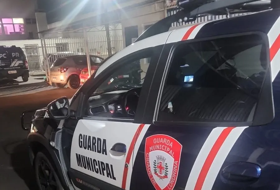 divulgação-GM