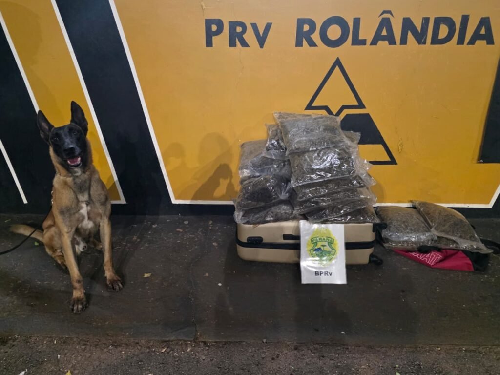 f3b89532-4c9a-4efc-97a5-ab4b7495c789